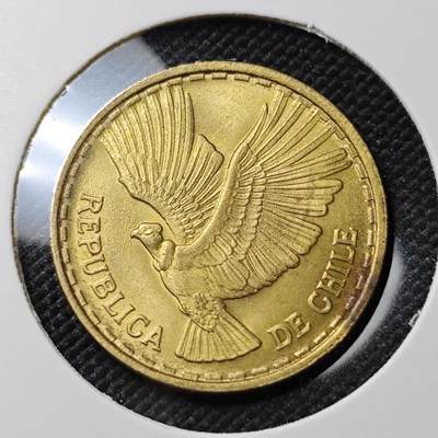 KK钱币收藏小铺  第387期  2月预留时间 周末发货 -  智利5分飞鹰