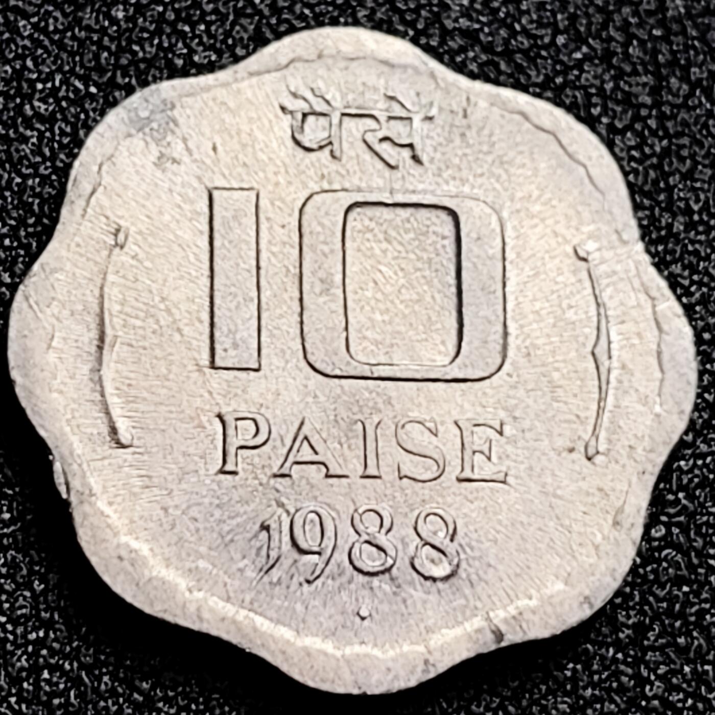 泉币菌-第166场- 新年第九场 精品福利场 。