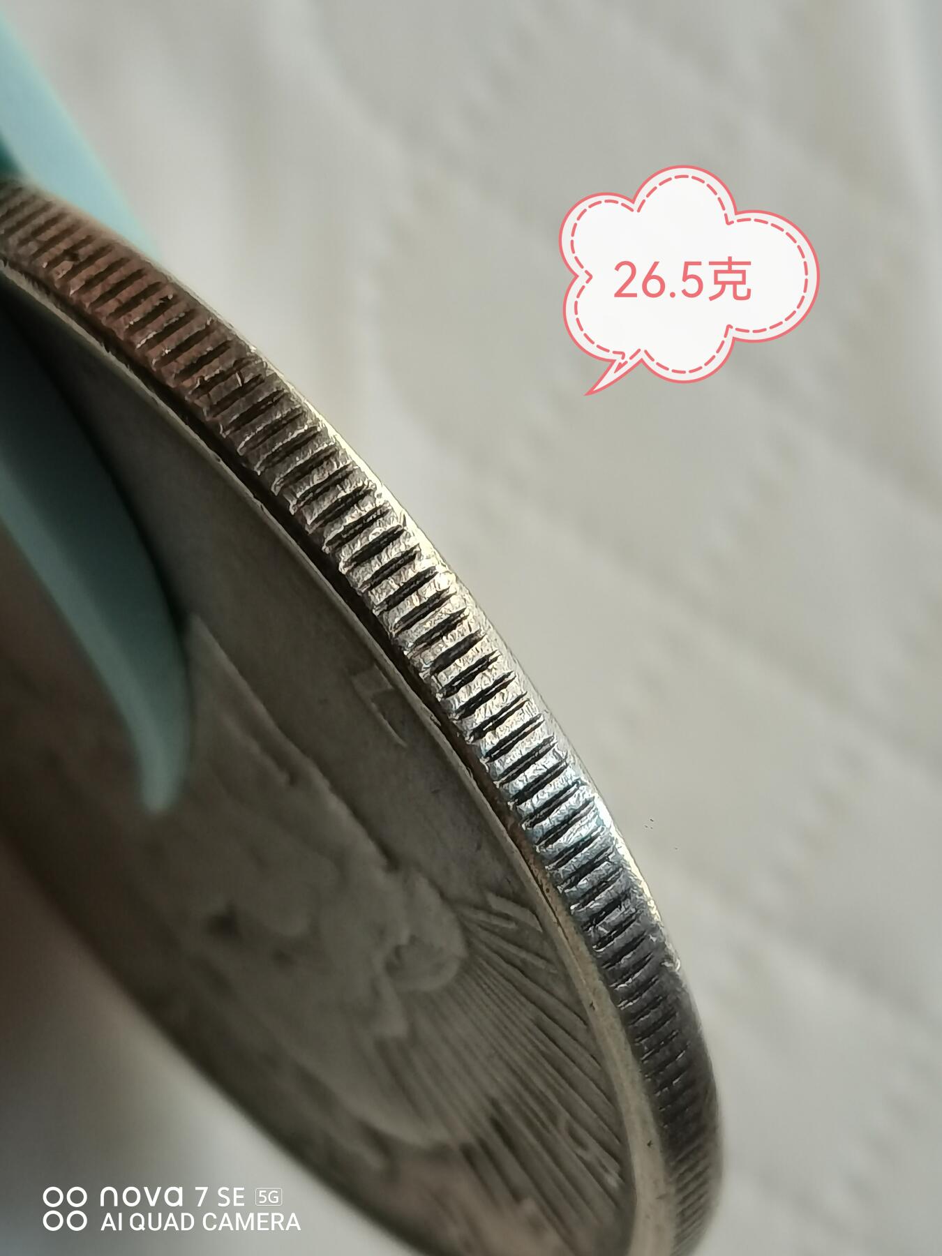 外国外币 1923年美国和平鸽大银币