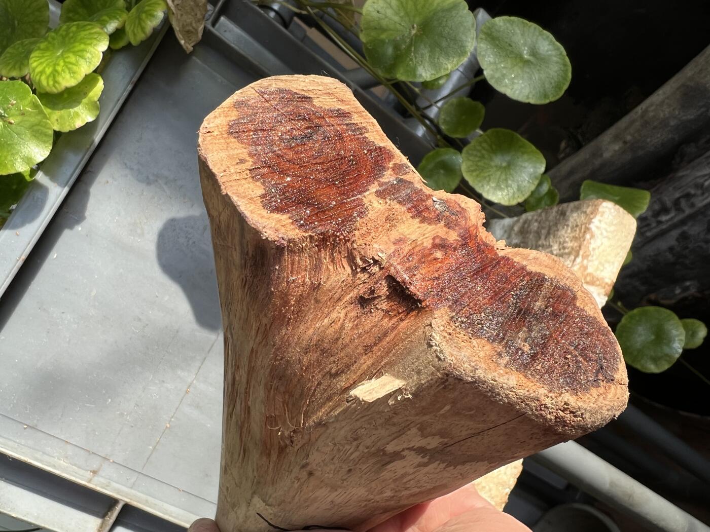 零元拍：  NO.110-6 海南黄花梨原料。尺寸约210/45//95/45MM