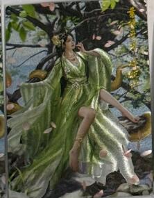 秋萤阁第40期 (1月7号周三晚上20点截拍，欢迎竞拍)  卡德曼西游 蟒蛇精 异色 兰心 裸卡