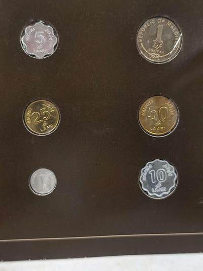 G&W世界散币，银币处理专场（第42场） - 富兰克林-马尔代夫6枚套