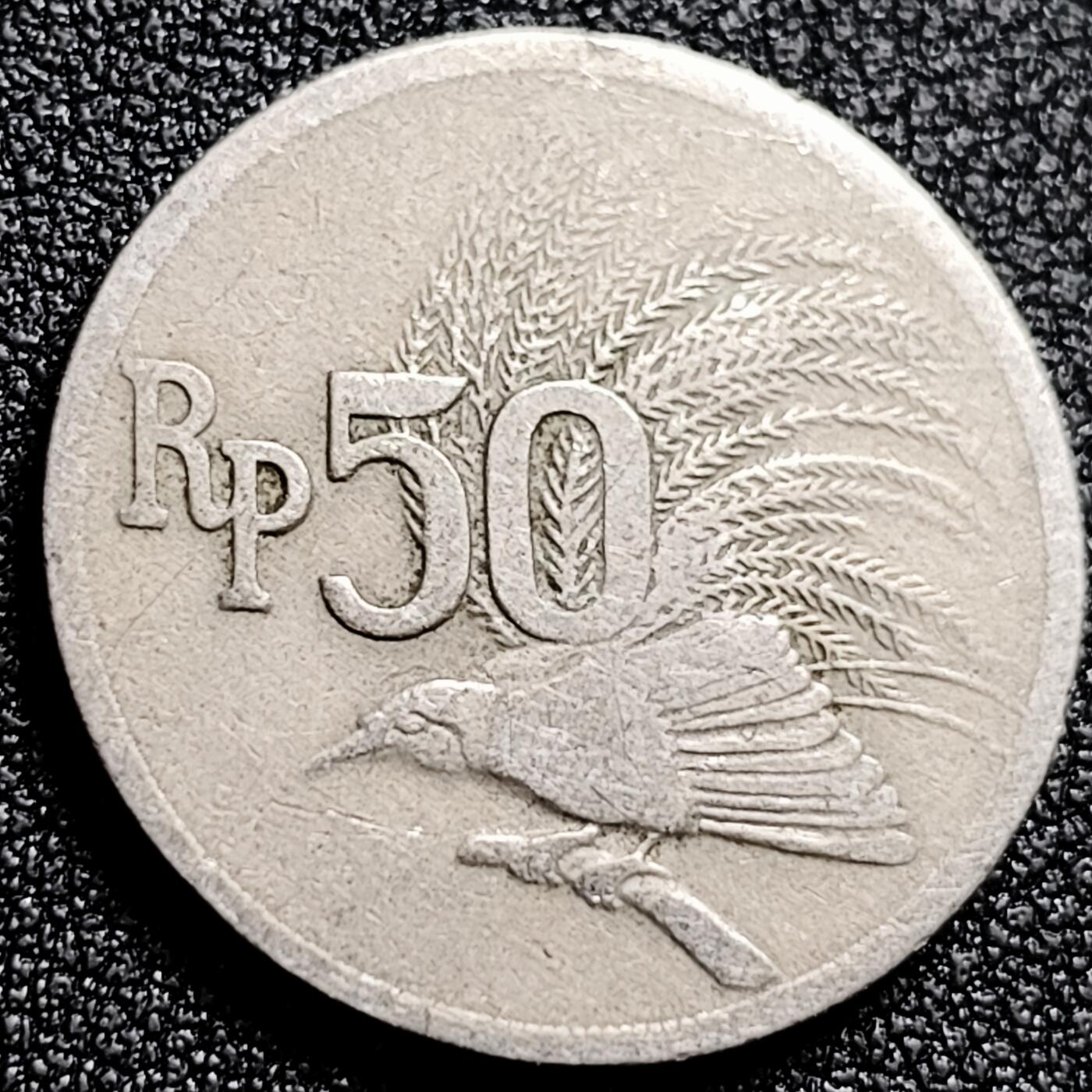 泉币菌-第166场- 精品福利场