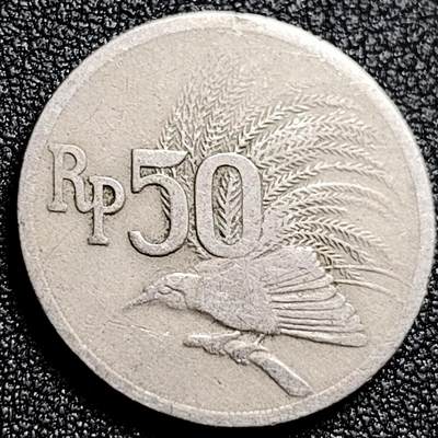 泉币菌-第166场- 精品福利场 - 。