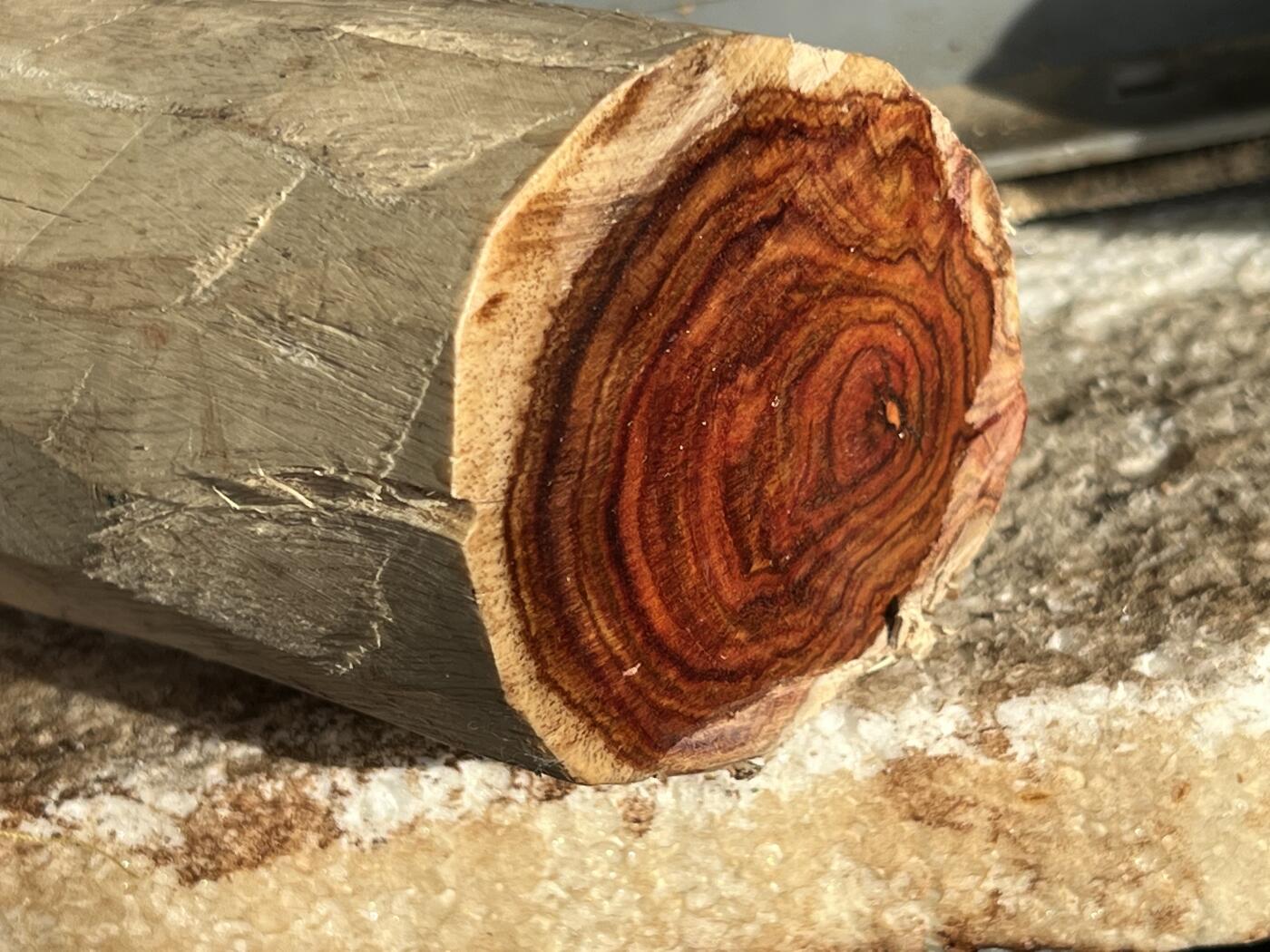 零元拍：  NO.68-3海南黄花梨原料。尺寸约120/50/55MM