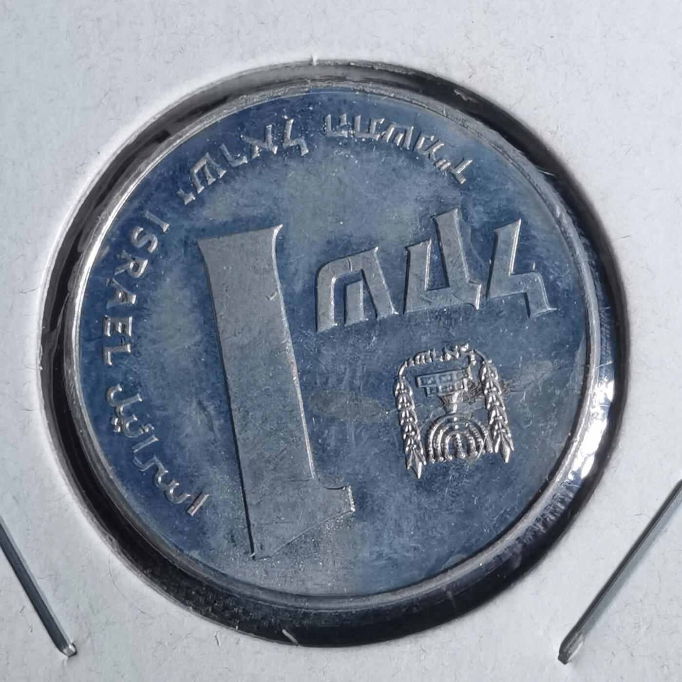 沼泽如烟--第954场