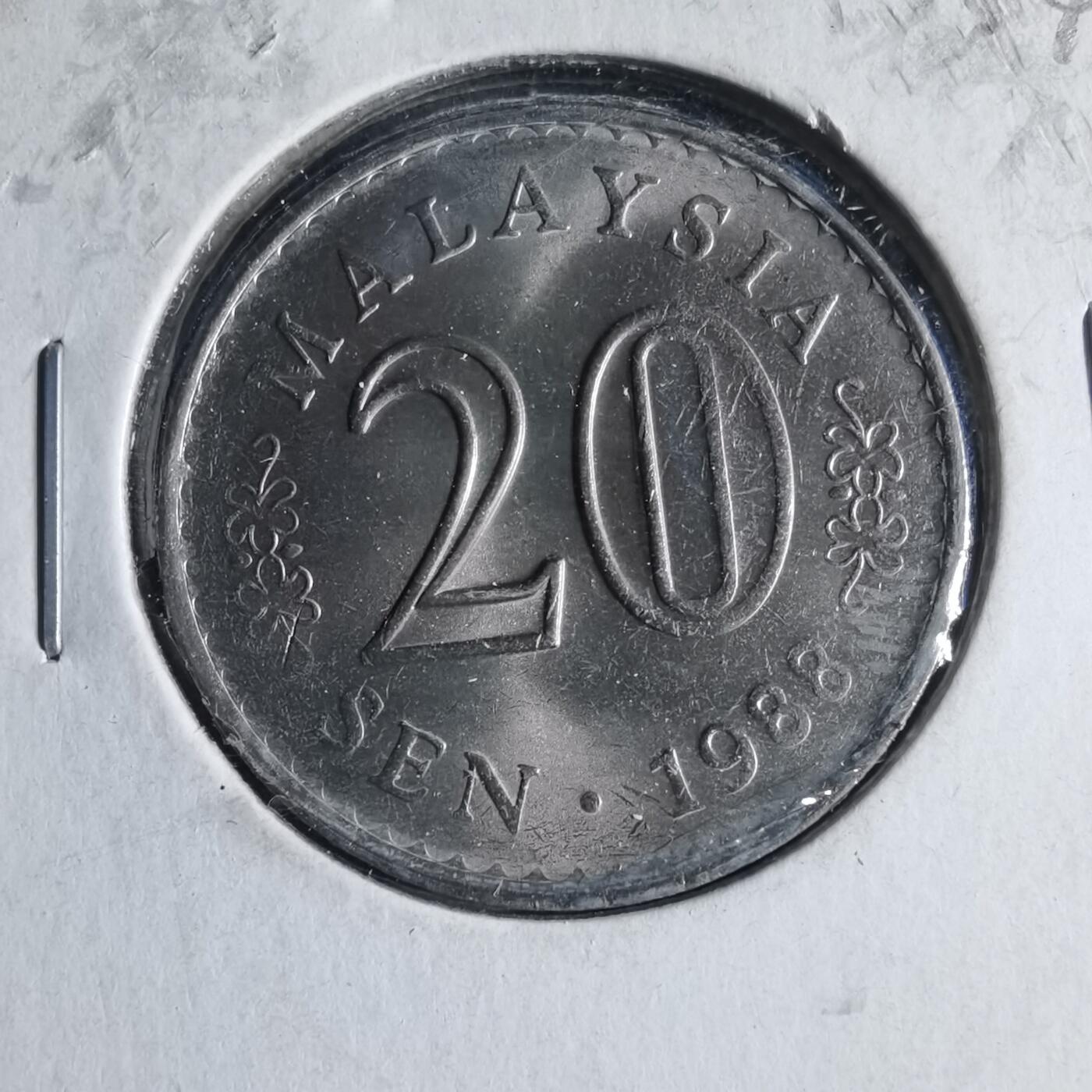 沼泽如烟--第954场