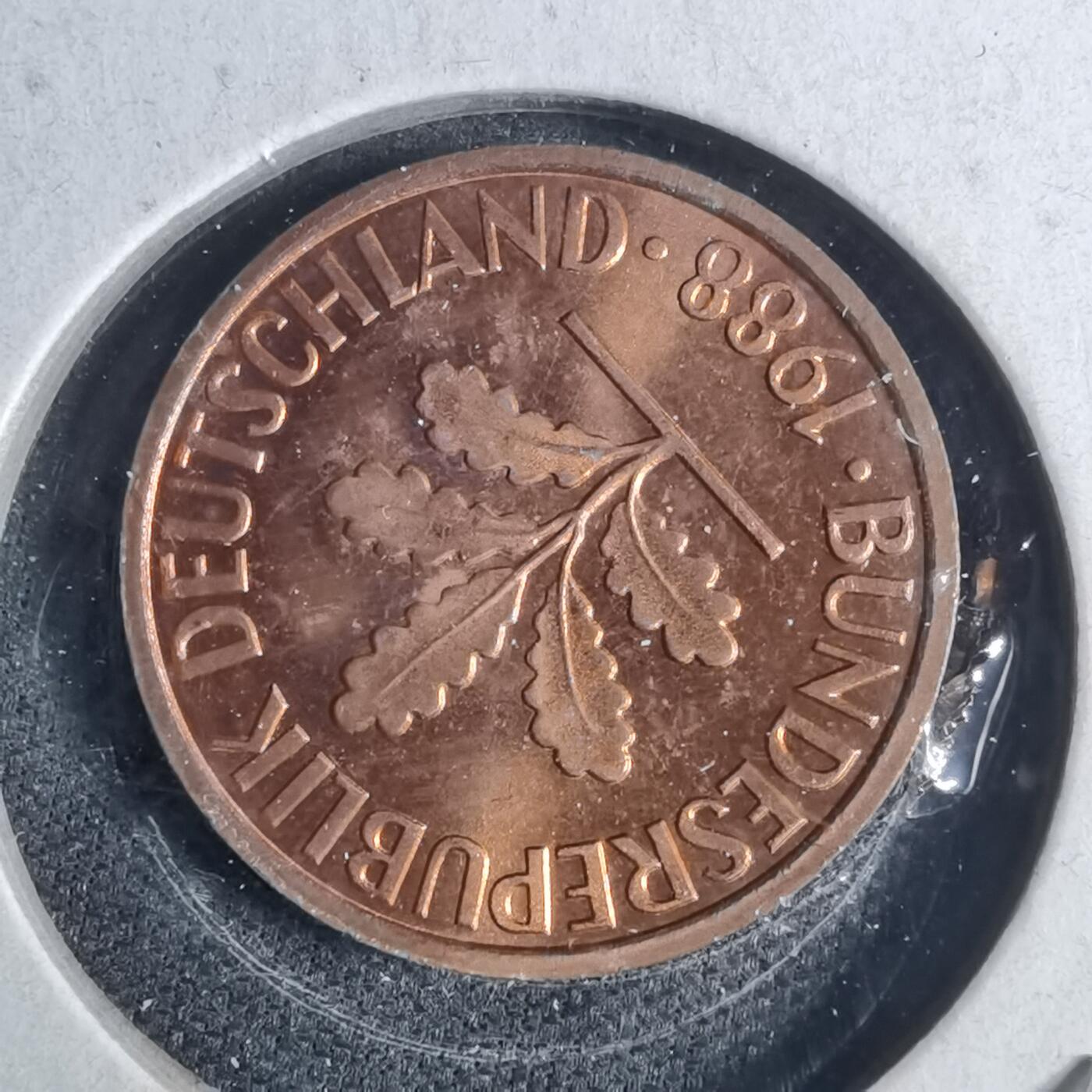 沼泽如烟--第954场