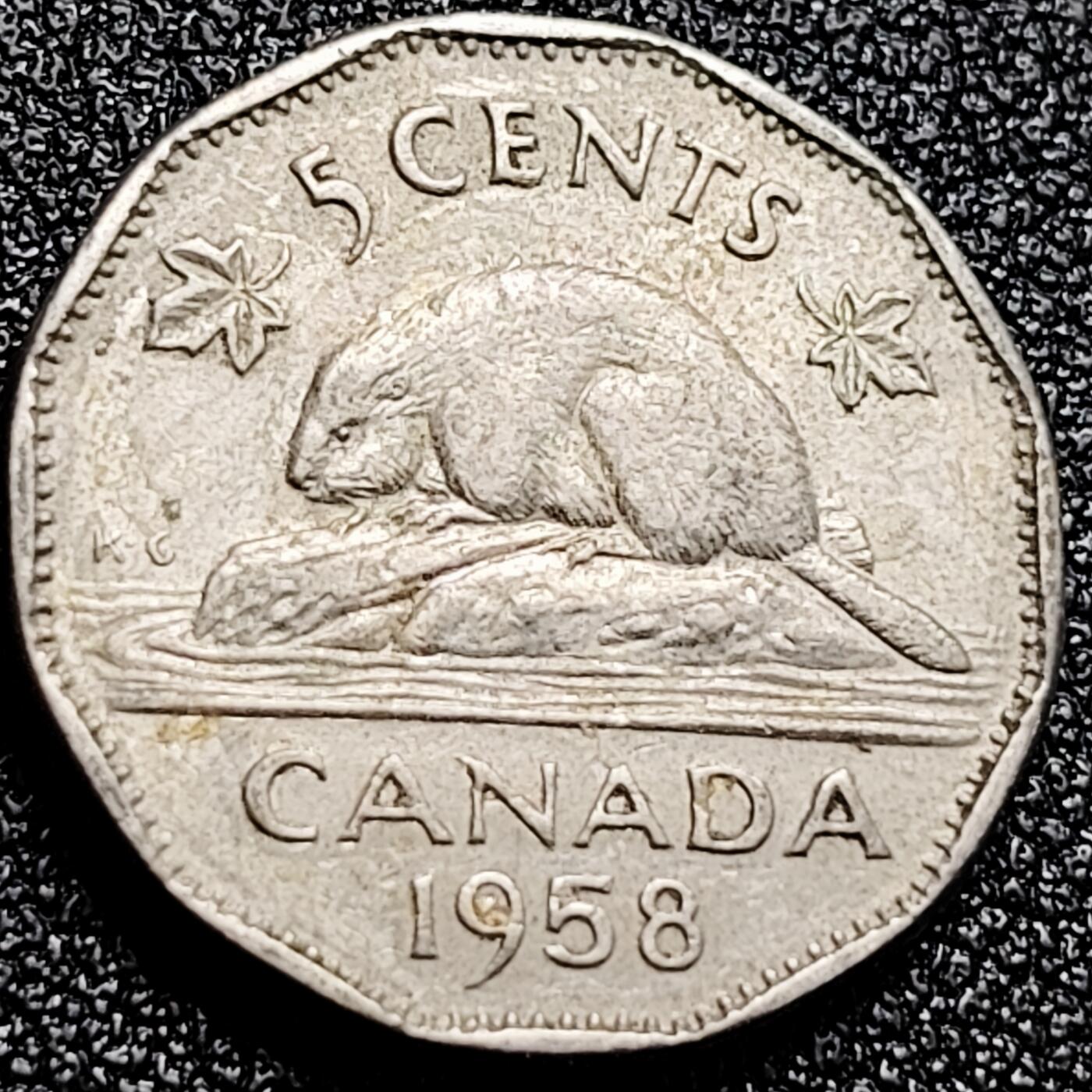 泉币菌-第167场- 精品福利场 。