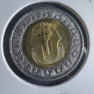 沼泽如烟--第954场 - 埃及