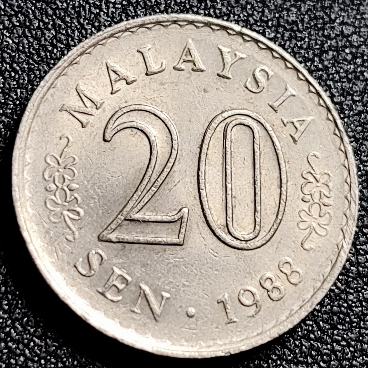 泉币菌-第166场- 精品福利场