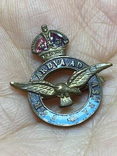 2026年第五场(总第一百七十四场）外国好品散币场(免佣金) - 英国皇家空军（RAF）二战时期家属小型纪念领章(刻有英国皇家空军的官方格言片段:历经艰难，终抵星辰)