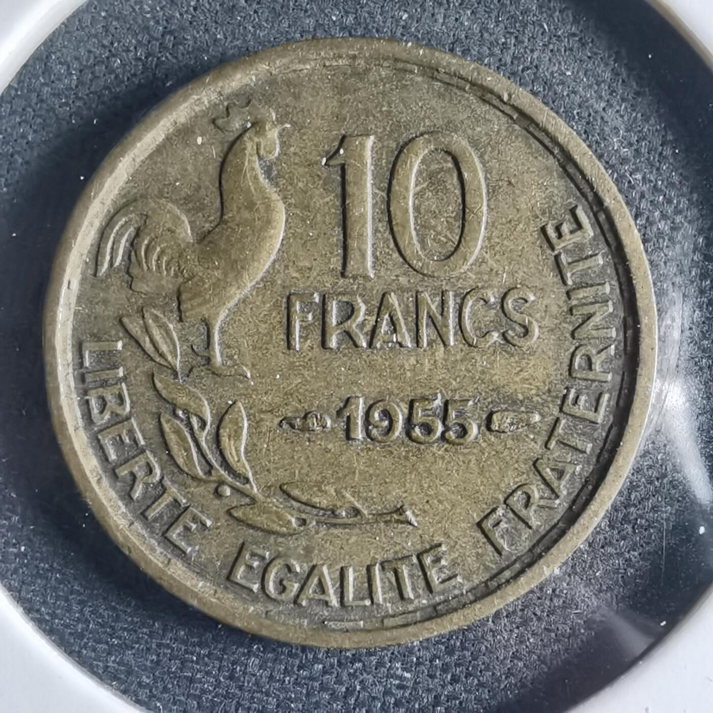 沼泽如烟--第954场