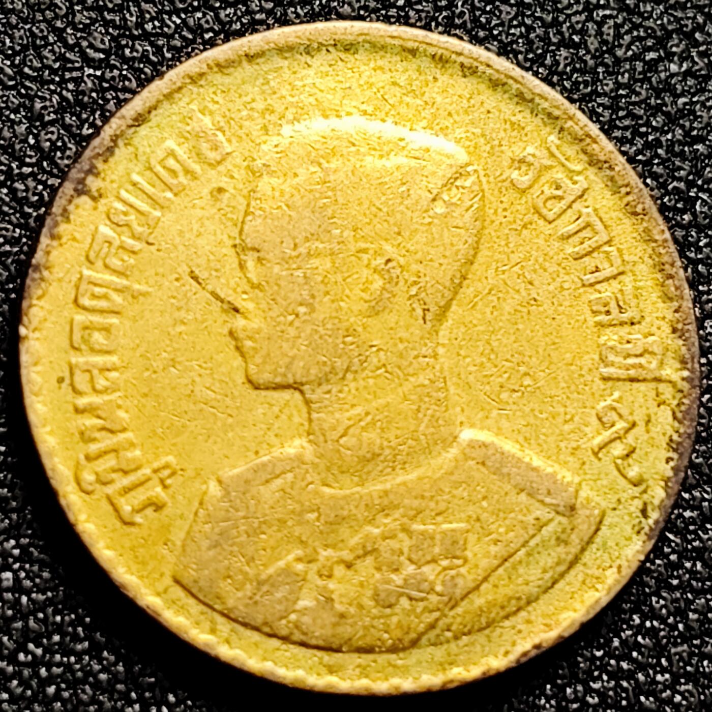 泉币菌-第166场- 精品福利场