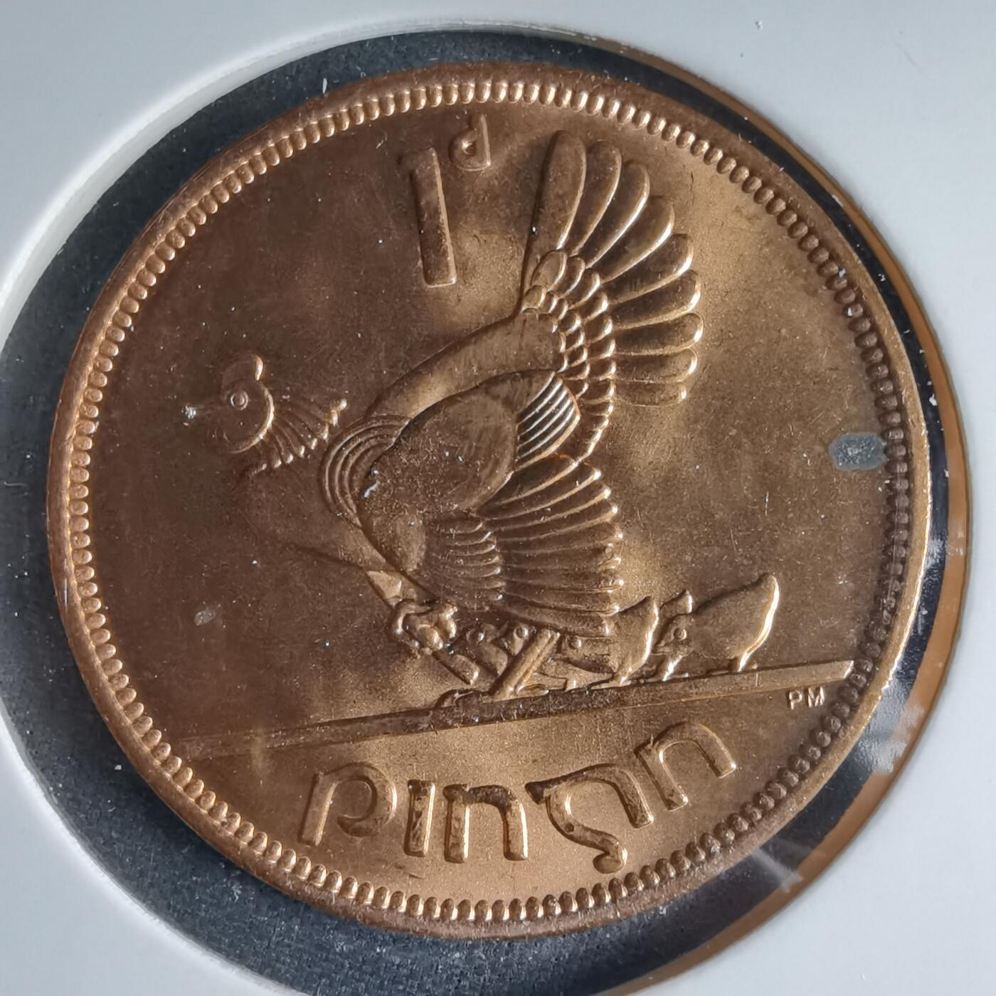 沼泽如烟--第954场