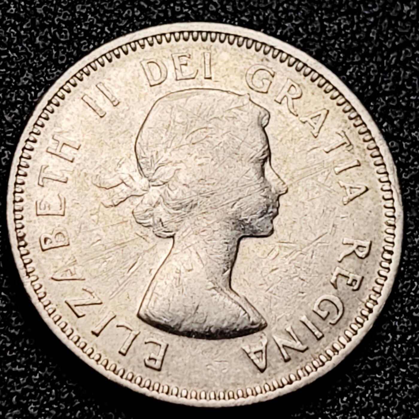 泉币菌-第166场- 新年第九场 精品福利场 。