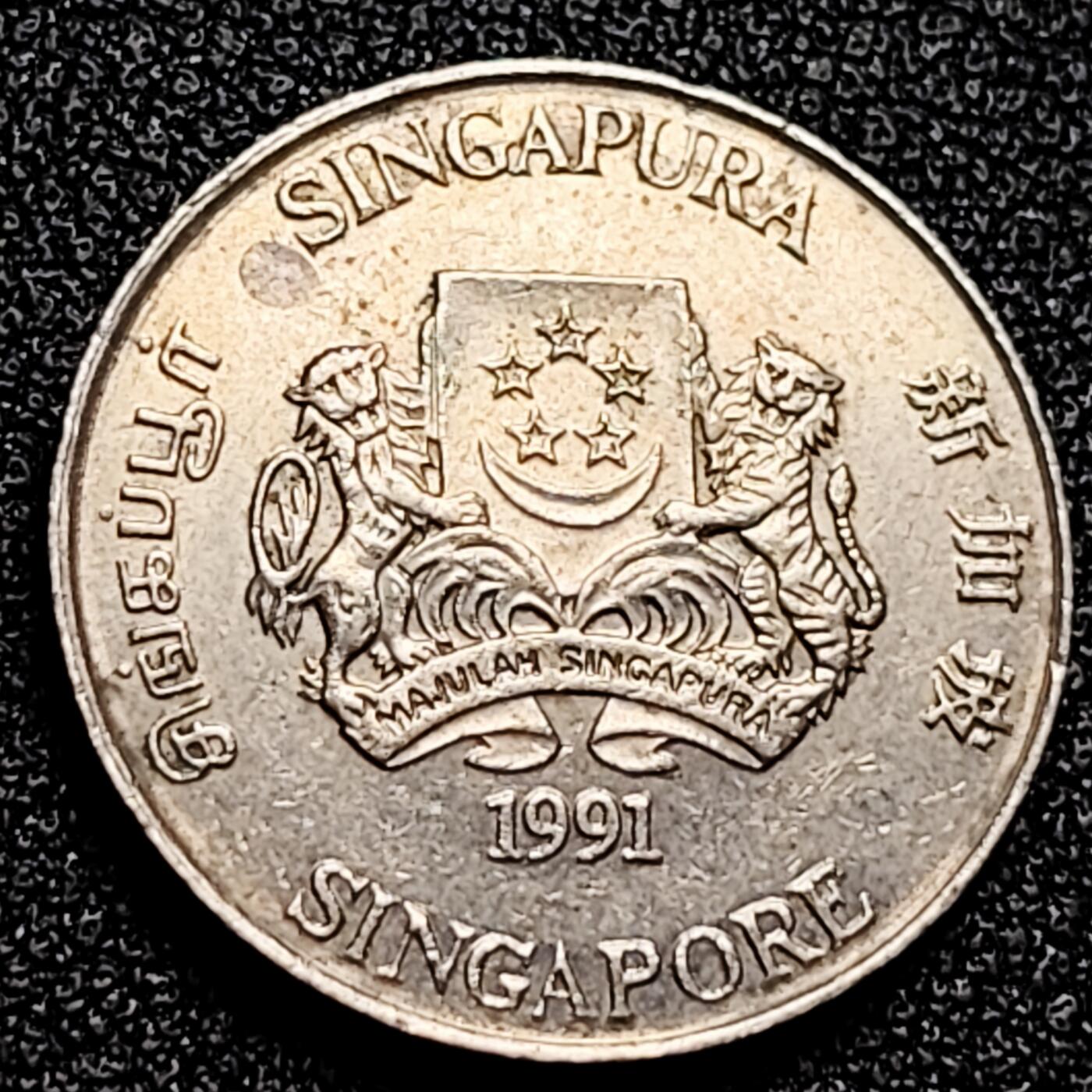 泉币菌-第166场- 新年第九场 精品福利场 。