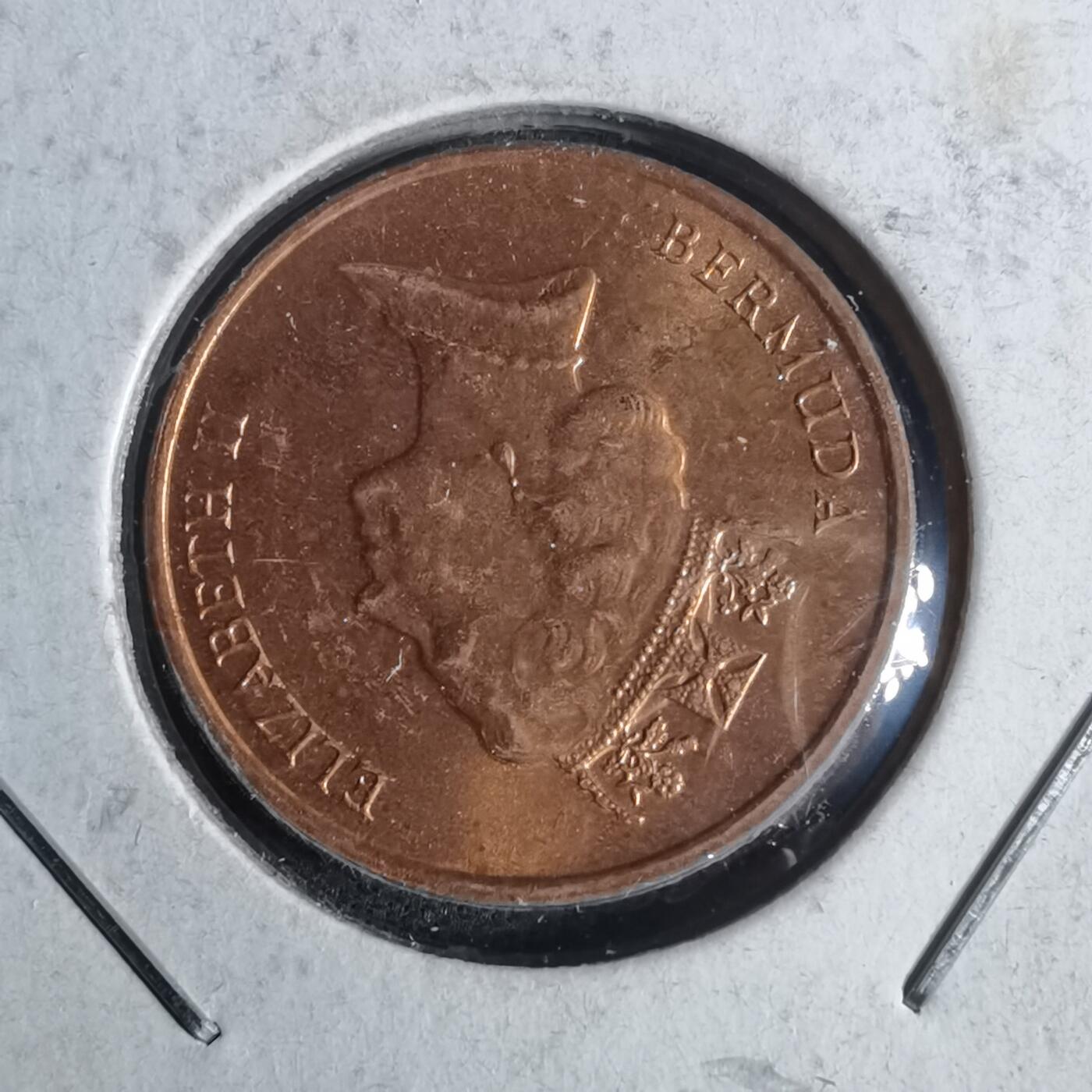 沼泽如烟--第954场