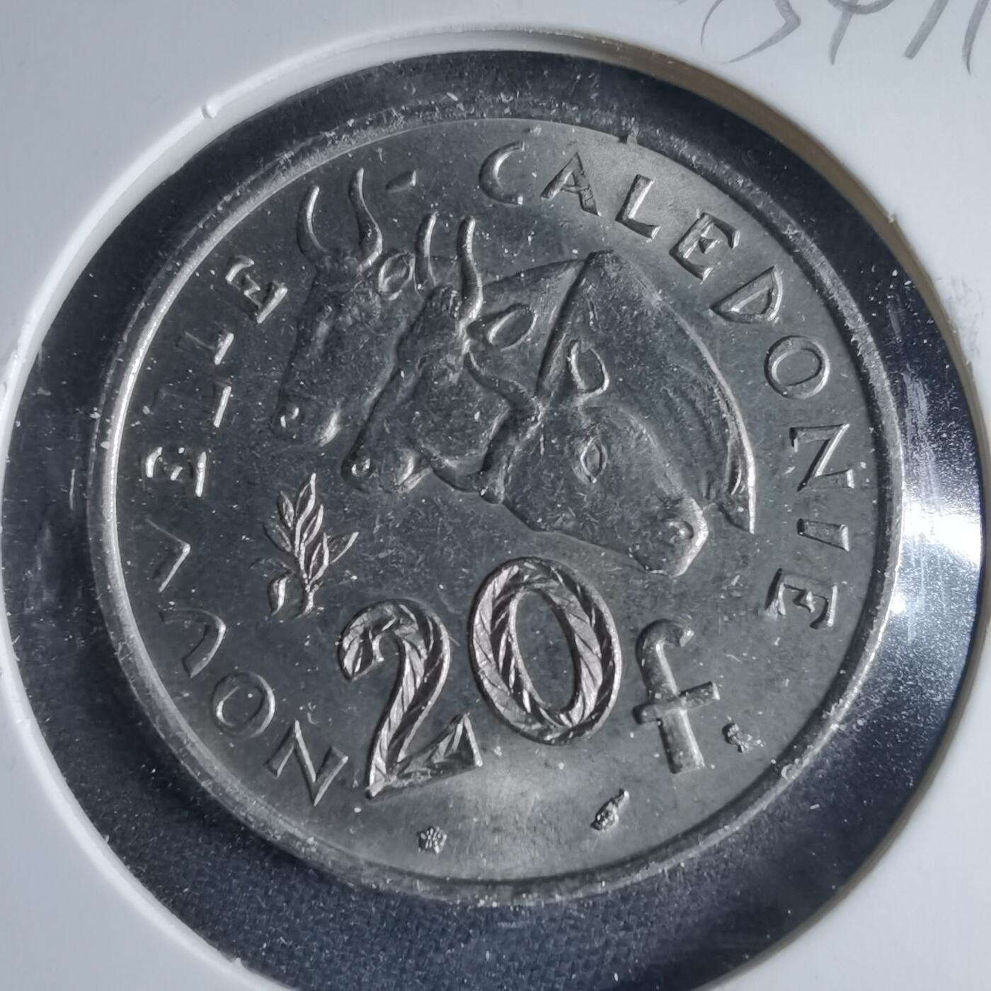 沼泽如烟--第954场