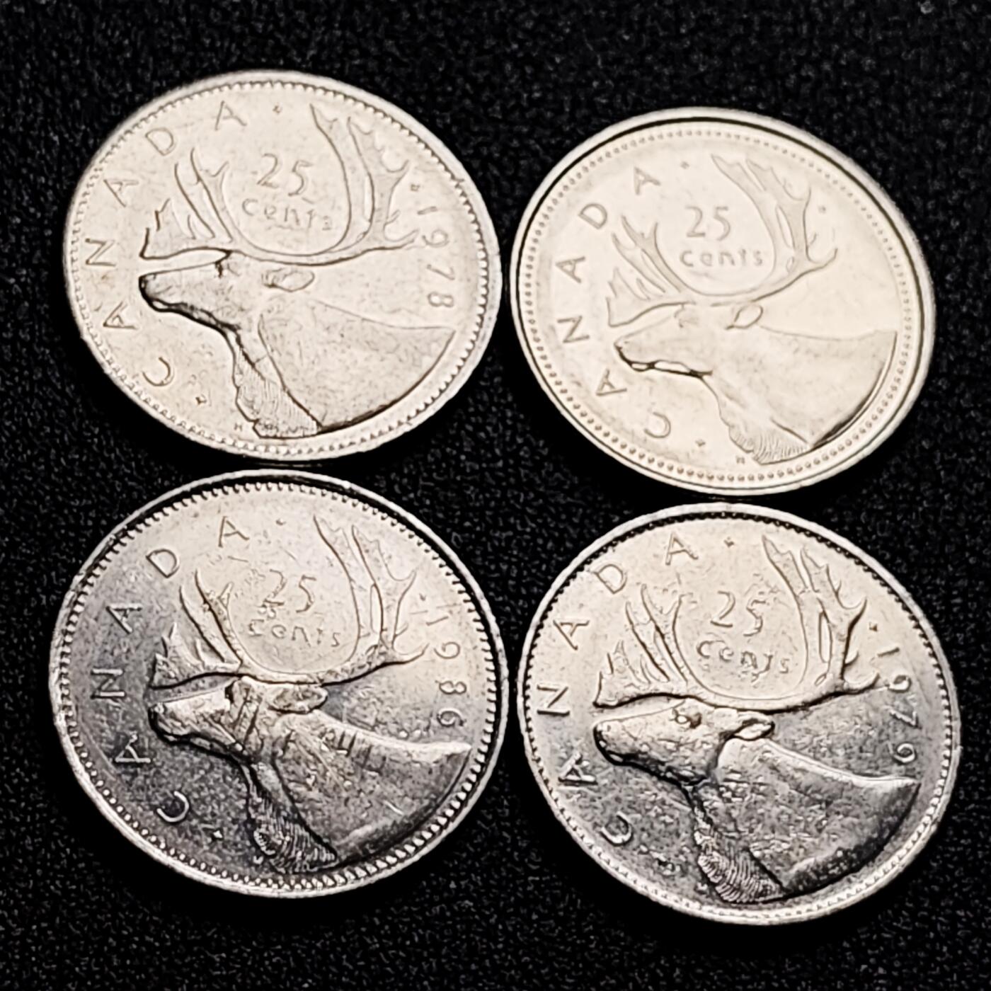 泉币菌-第166场- 精品福利场