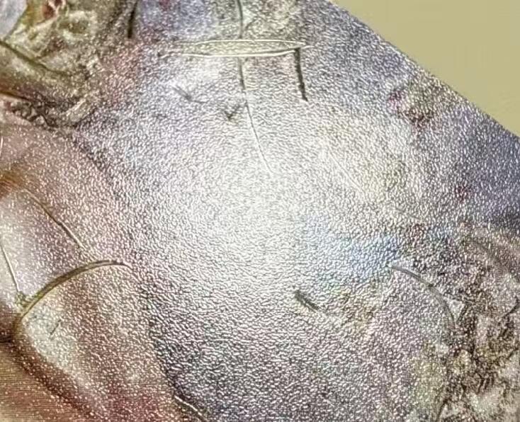 NO.20.5 好又多妹卡大赏，祝你新年旺桃花~只能从此链接进的专场！新店点关注不迷路~每周一站式配齐，方便凑单！（周5晚9点截拍，卖家送拍免费！） 焱卡 妖姬传 刷子 铁扇公主 双服饰 普卡 有划痕等瑕疵介意勿拍