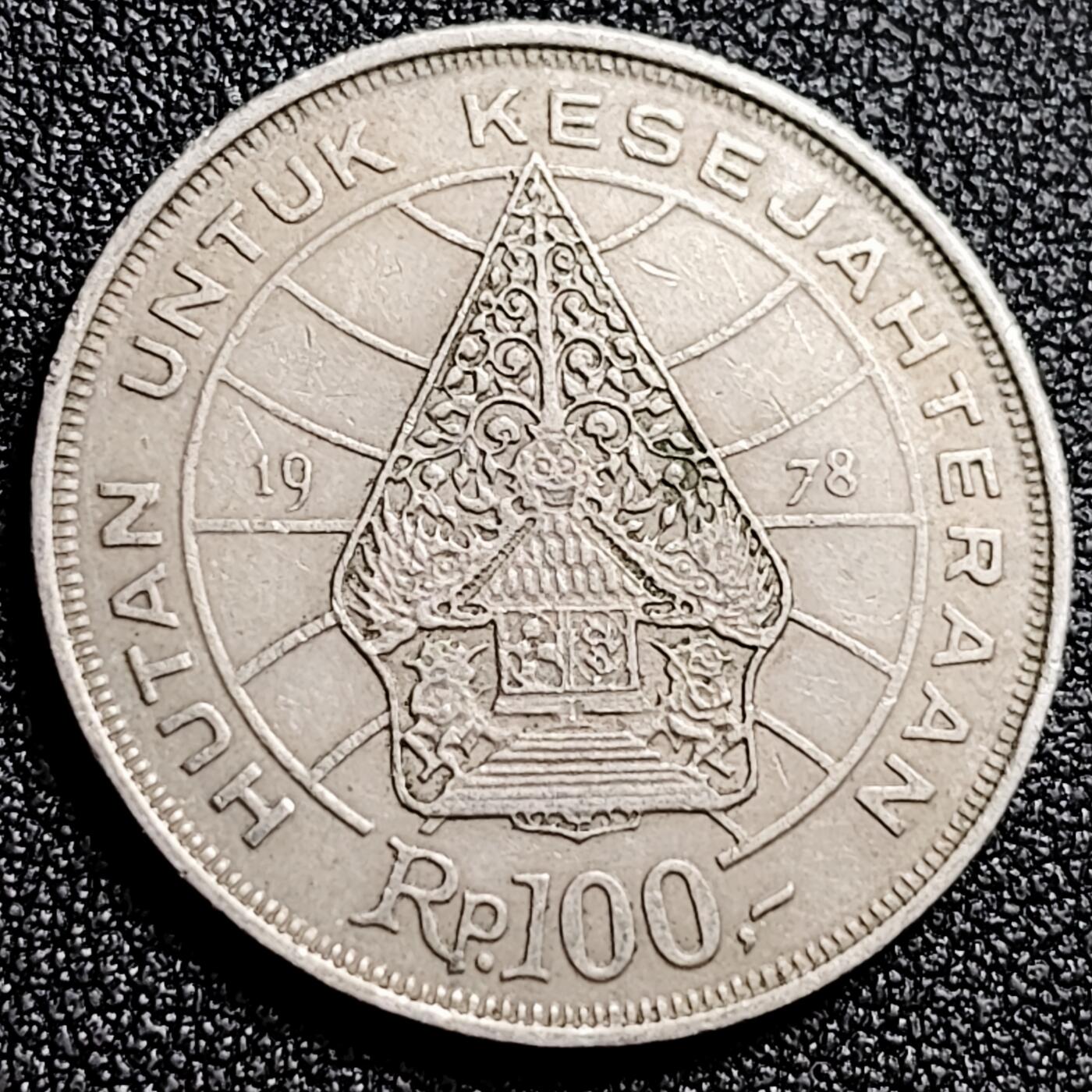 泉币菌-第166场- 精品福利场