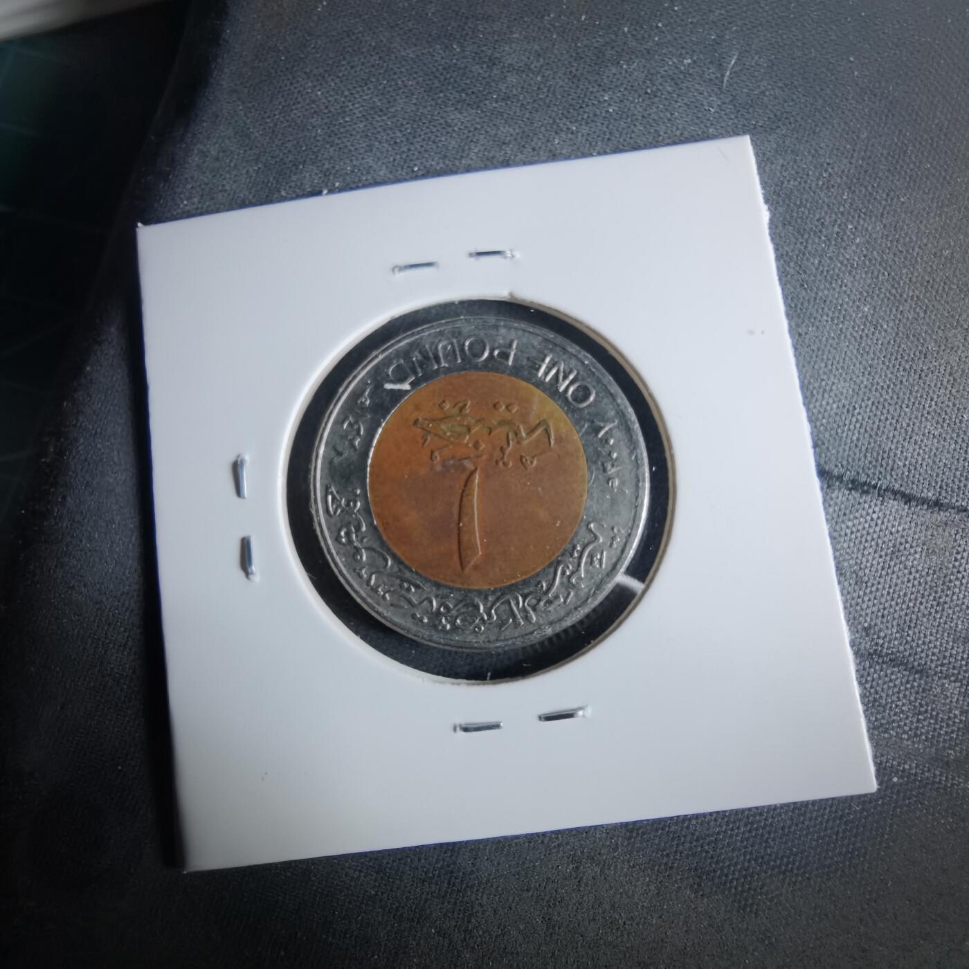 沼泽如烟--第954场 埃及