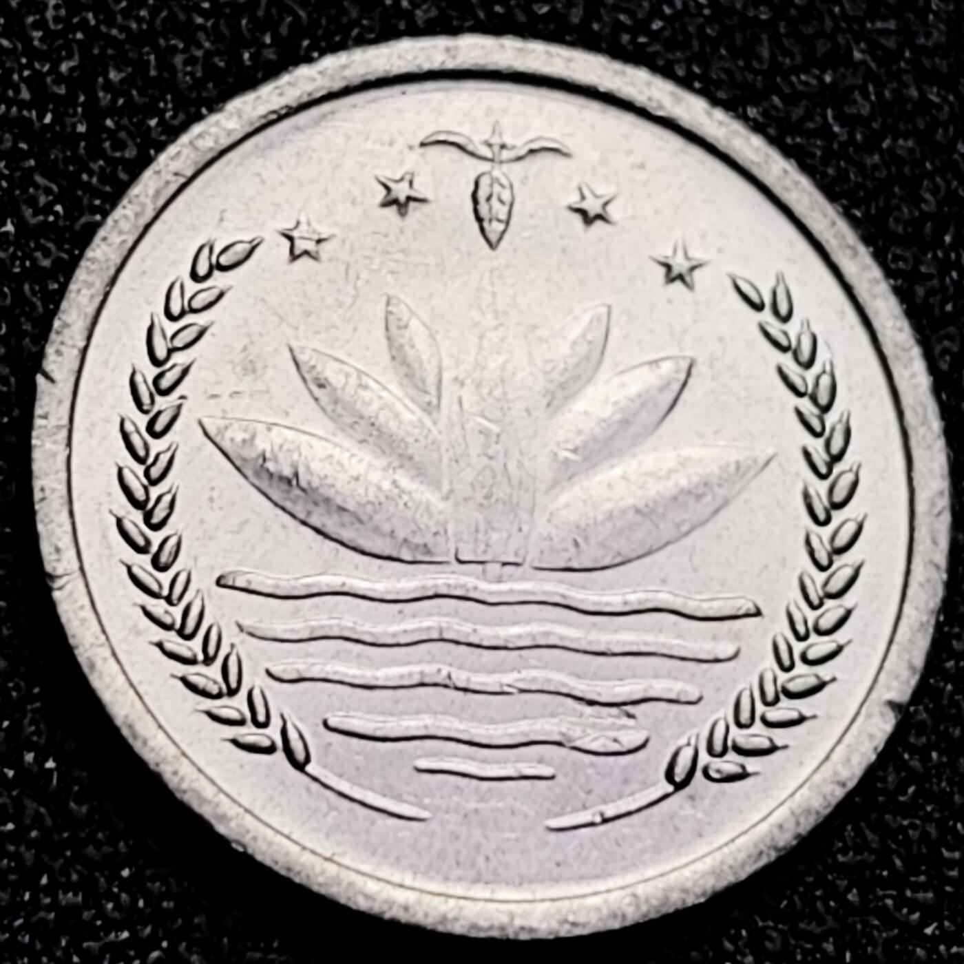 泉币菌-第166场- 新年第九场 精品福利场 。