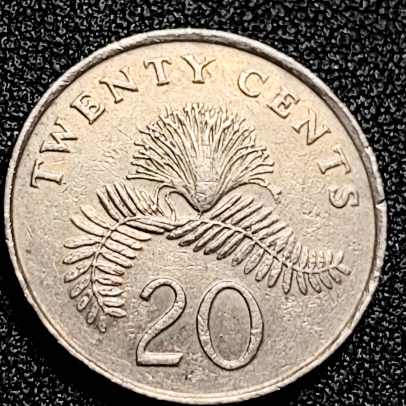 泉币菌-第166场- 新年第九场 精品福利场 。