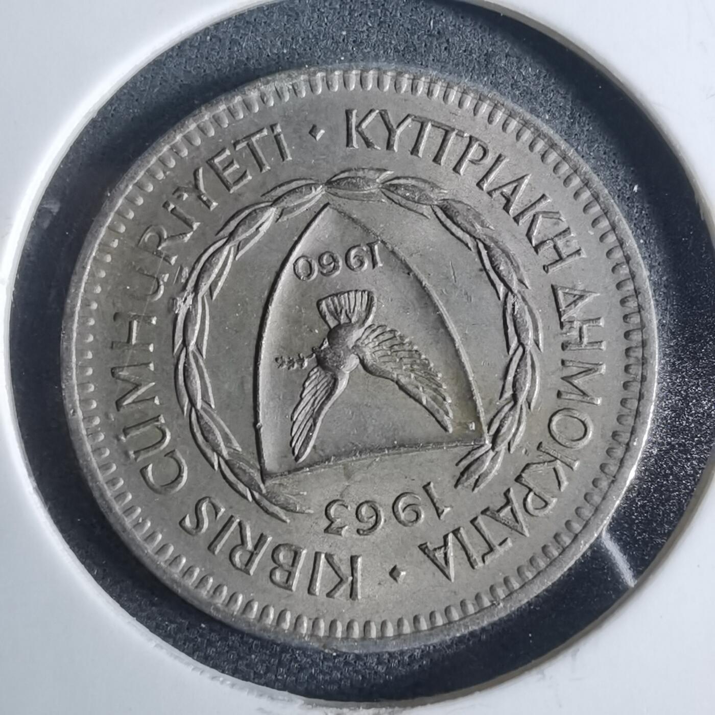 沼泽如烟--第954场