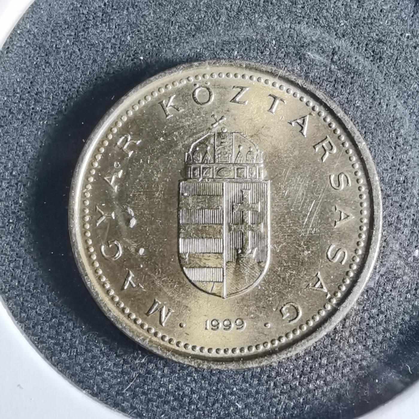 沼泽如烟--第954场