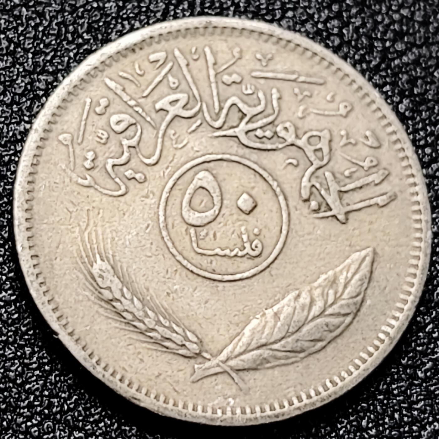 泉币菌-第167场- 精品福利场 。