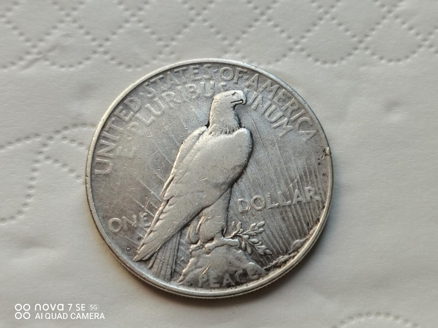 外国外币 1923年美国和平鸽大银币