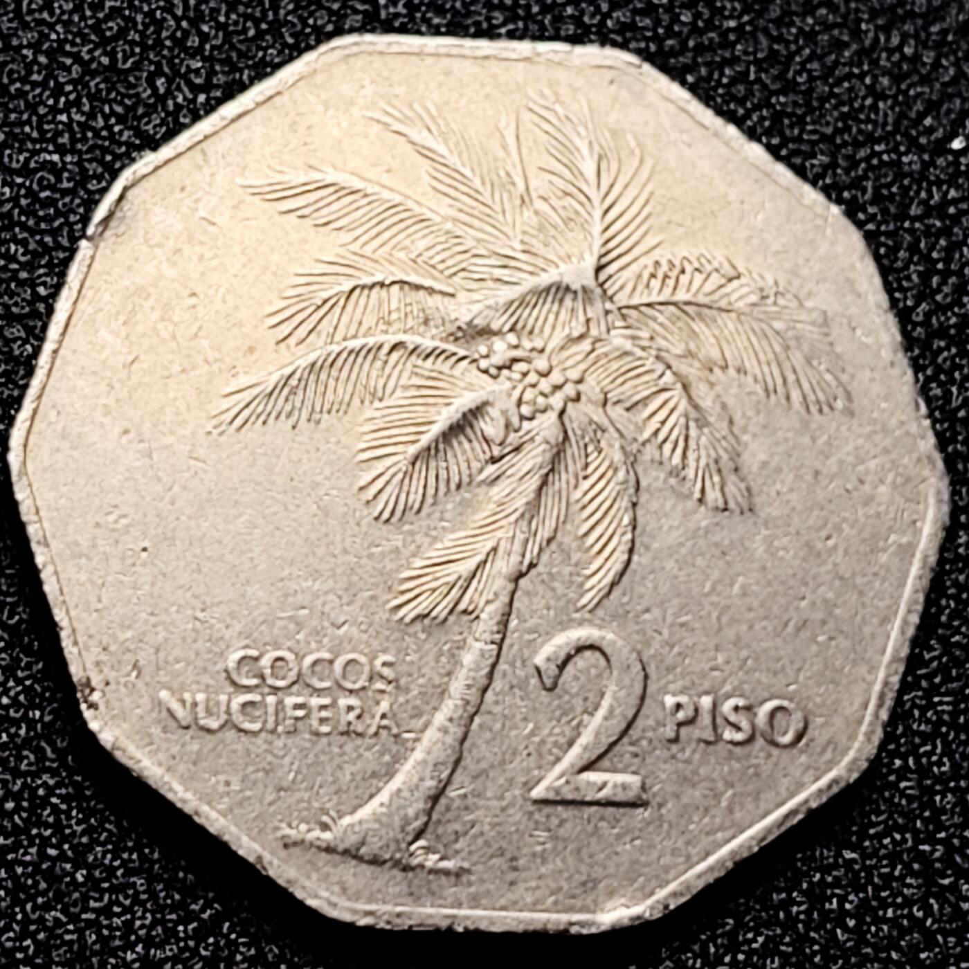 泉币菌-第167场- 精品福利场 。