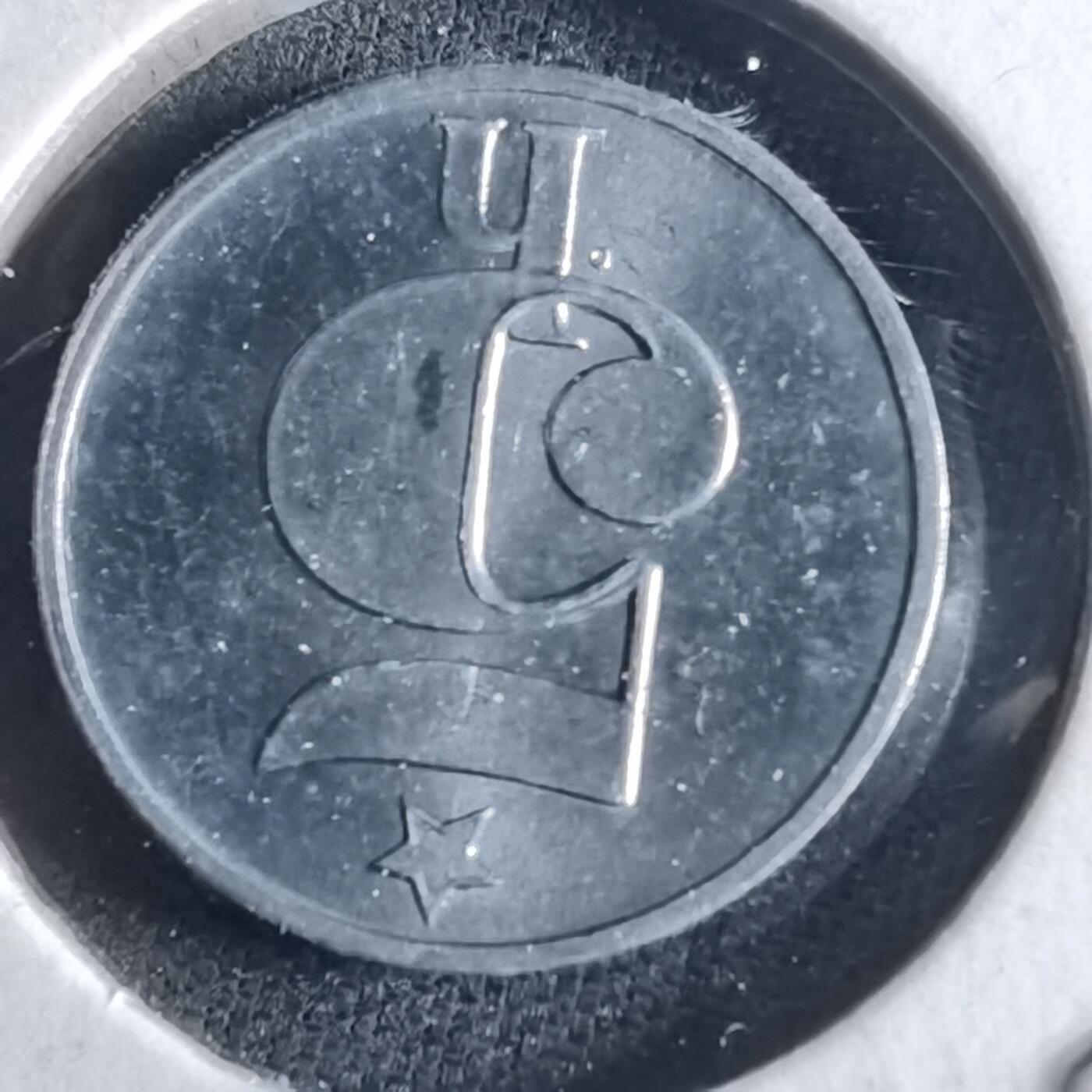 沼泽如烟--第954场