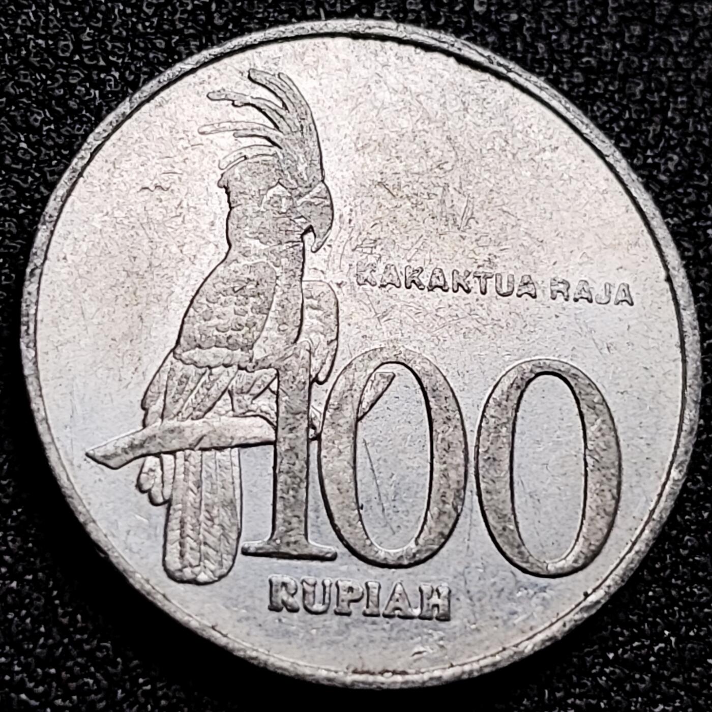 泉币菌-第166场- 新年第九场 精品福利场 。