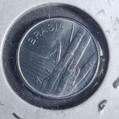 沼泽如烟--第954场 - 巴西1981年1克鲁塞罗