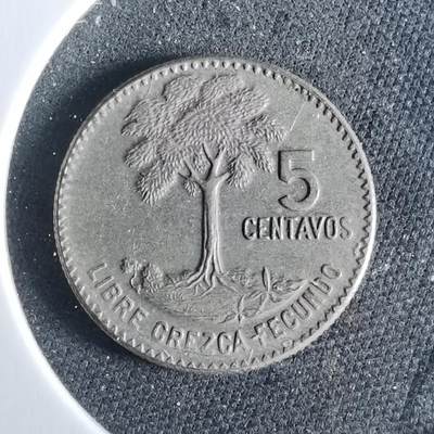 沼泽如烟--第954场 - 危地马拉1970年五分