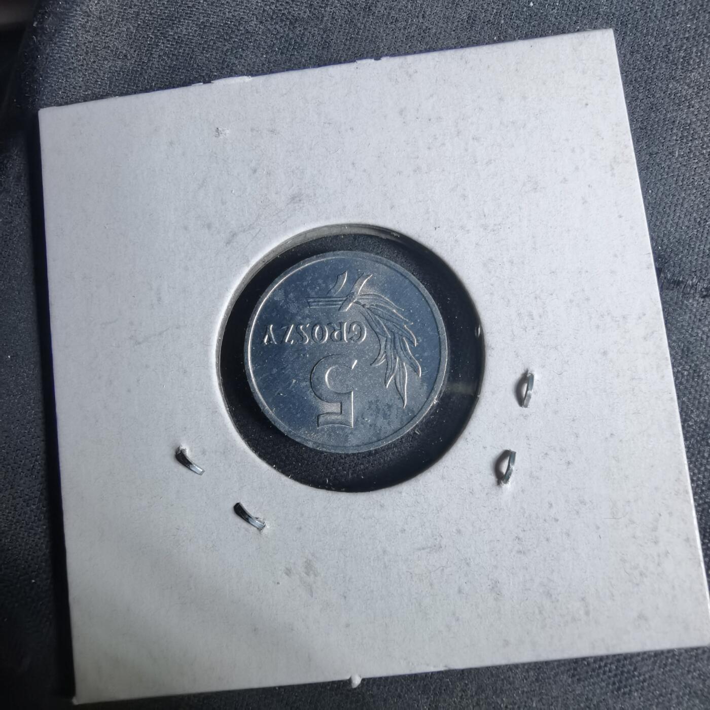 沼泽如烟--第954场