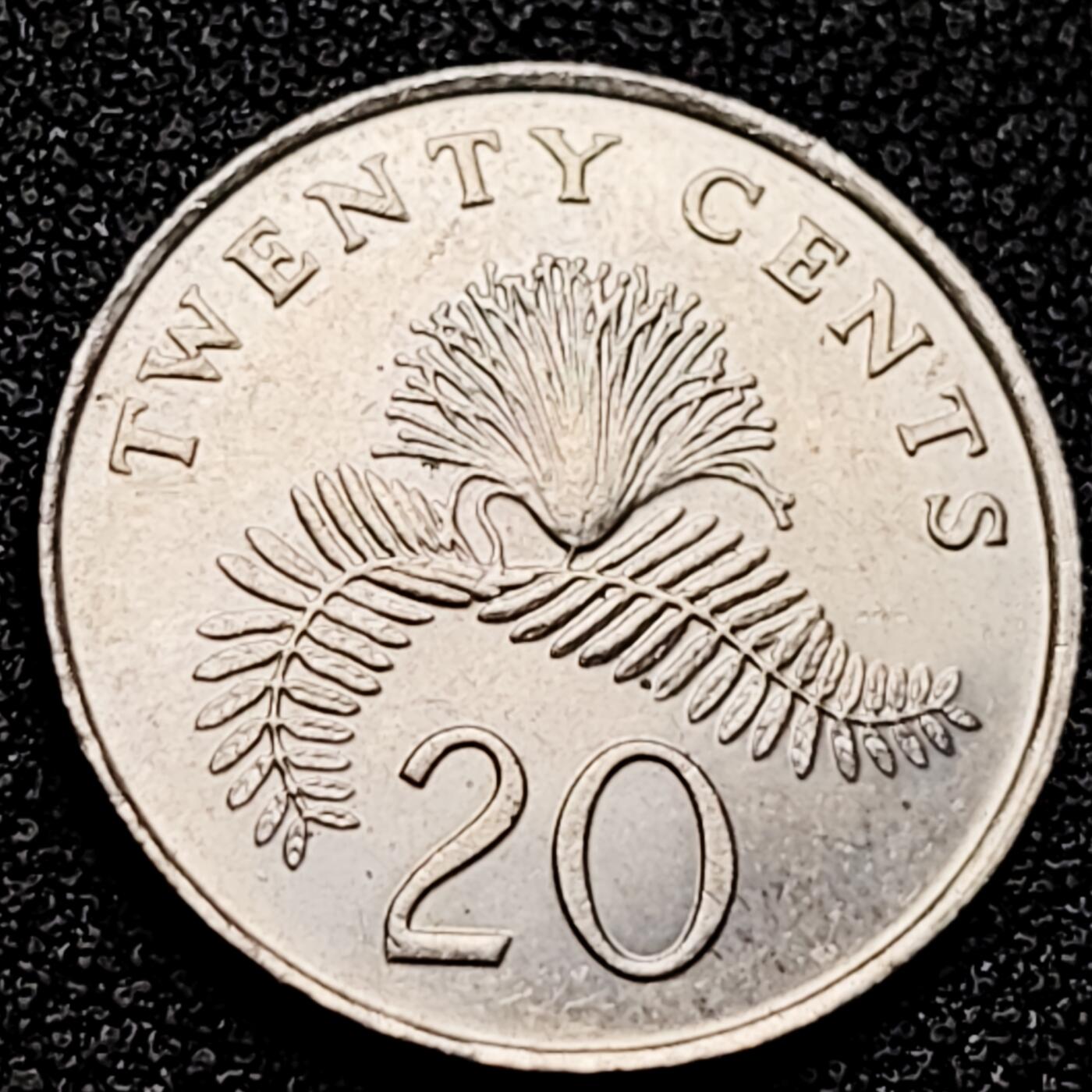 泉币菌-第166场- 新年第九场 精品福利场 。