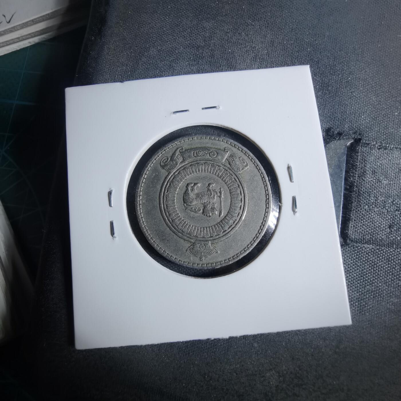 沼泽如烟--第954场