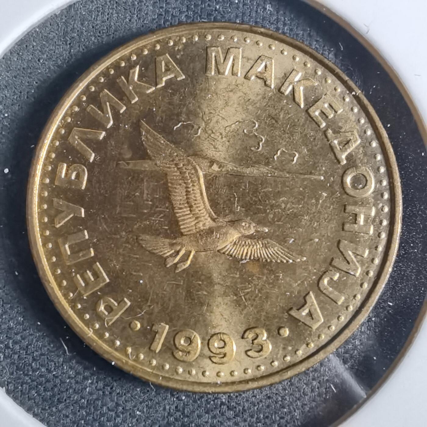 沼泽如烟--第954场