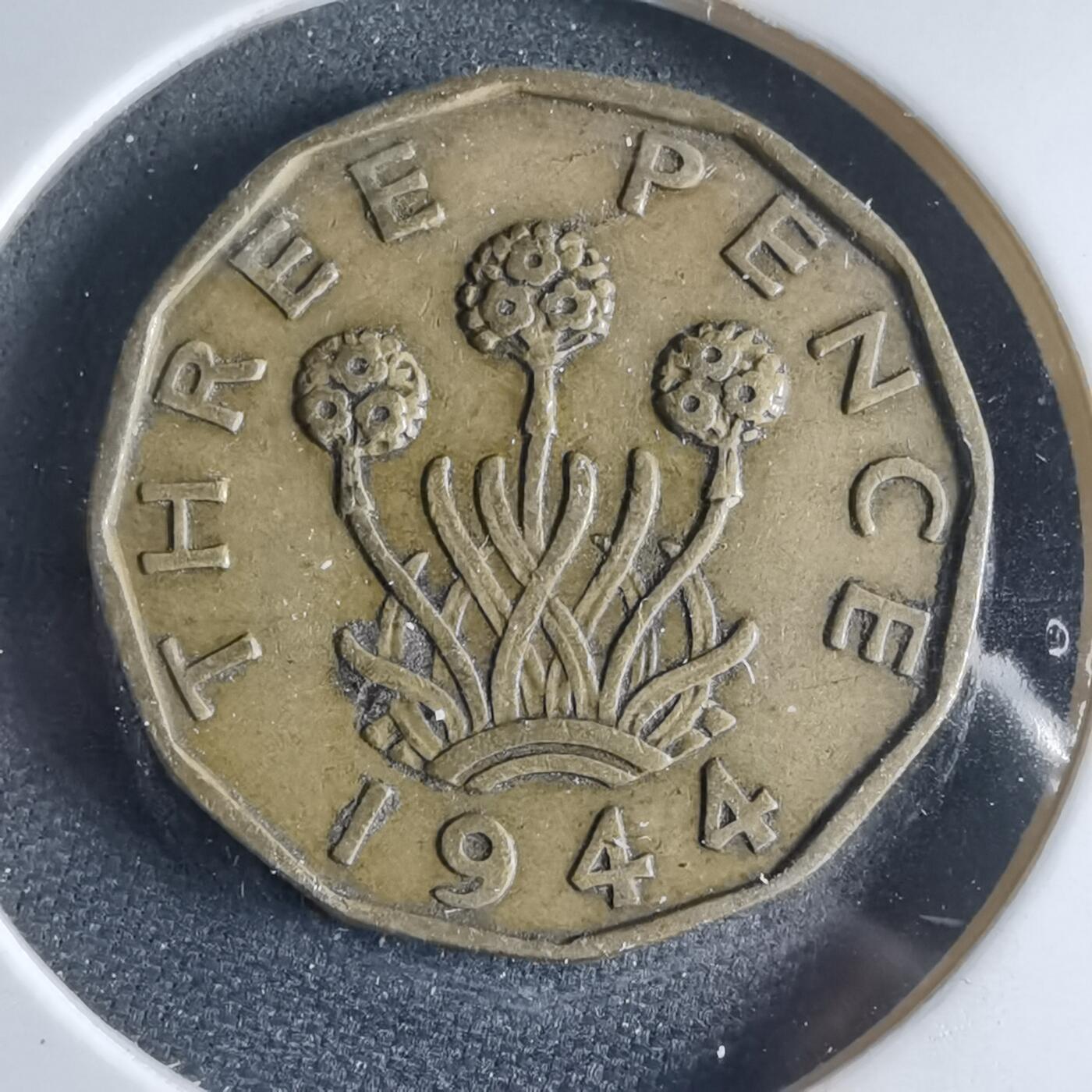 沼泽如烟--第954场