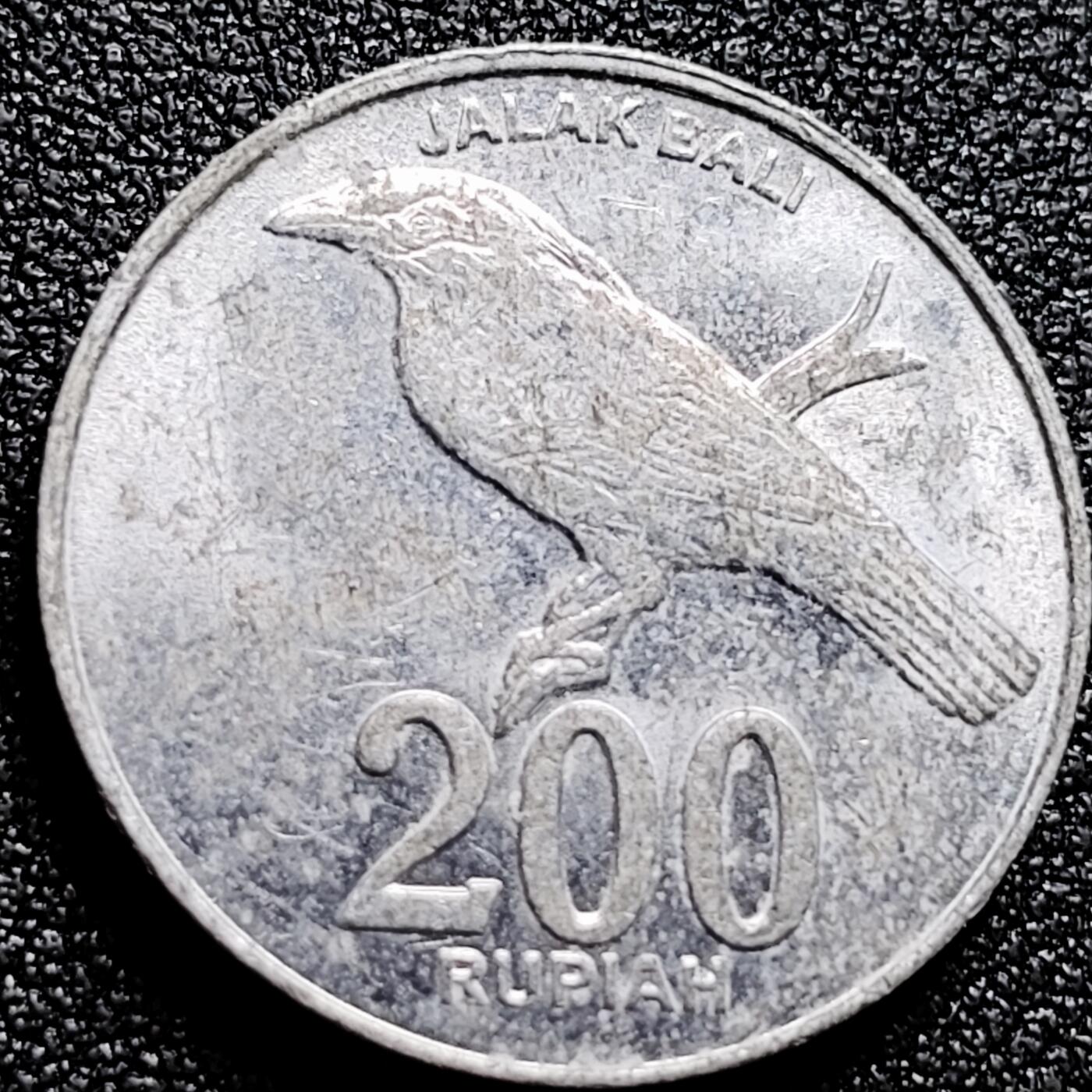 泉币菌-第166场- 新年第九场 精品福利场 。