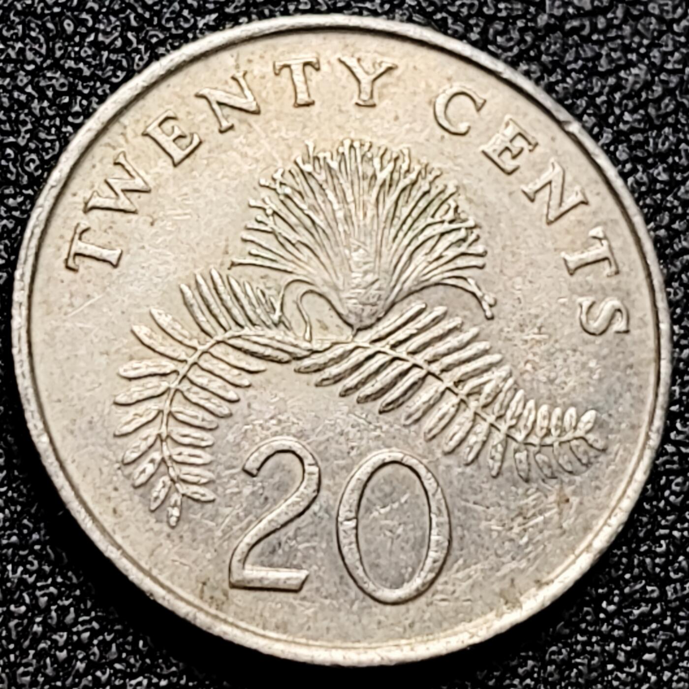 泉币菌-第166场- 新年第九场 精品福利场 。