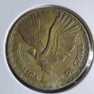 沼泽如烟--第954场 - 智利1966年十分