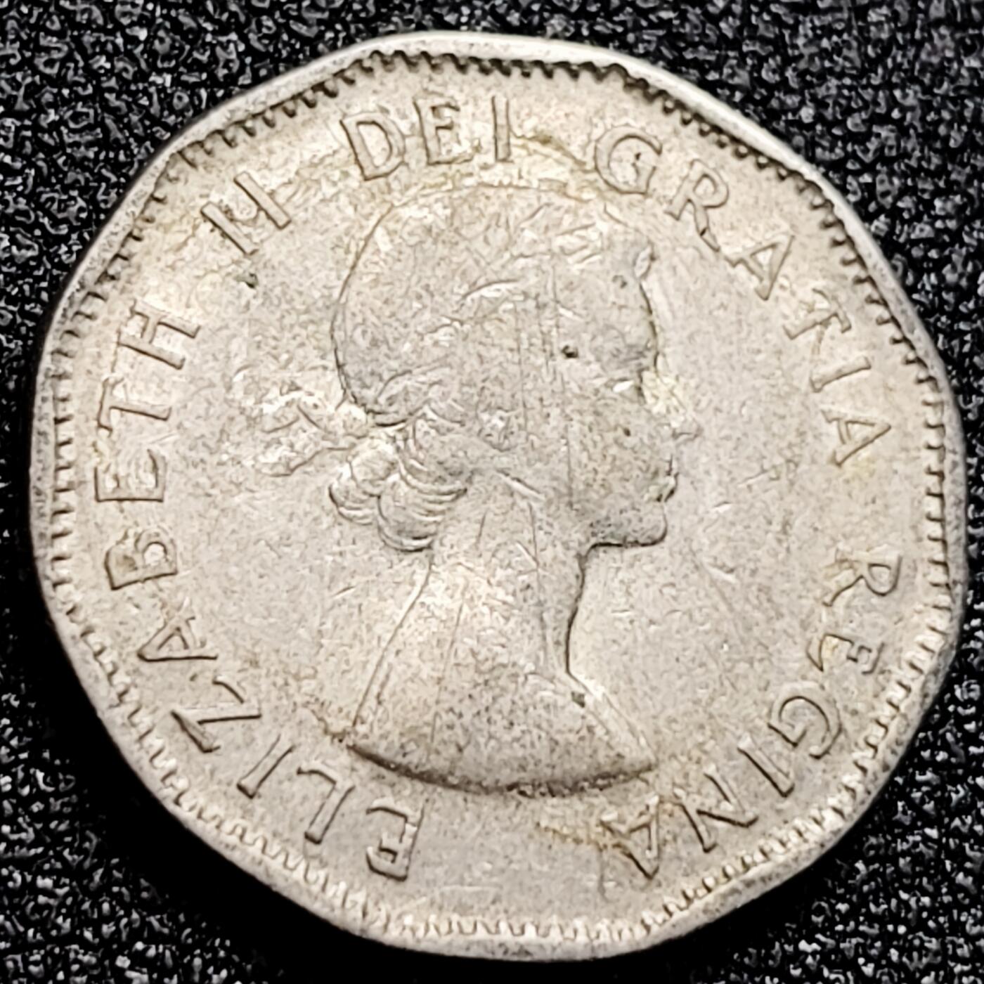 泉币菌-第167场- 精品福利场 。