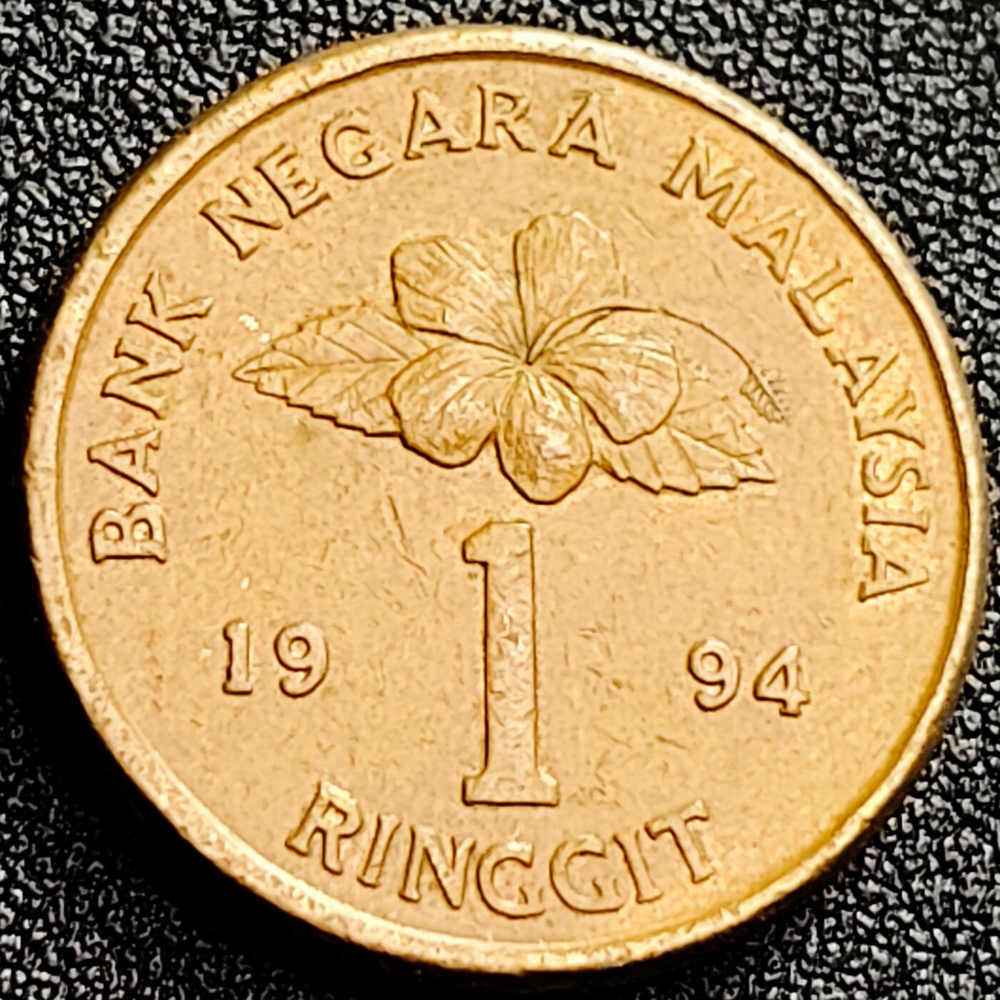 泉币菌-第166场- 新年第九场 精品福利场 。