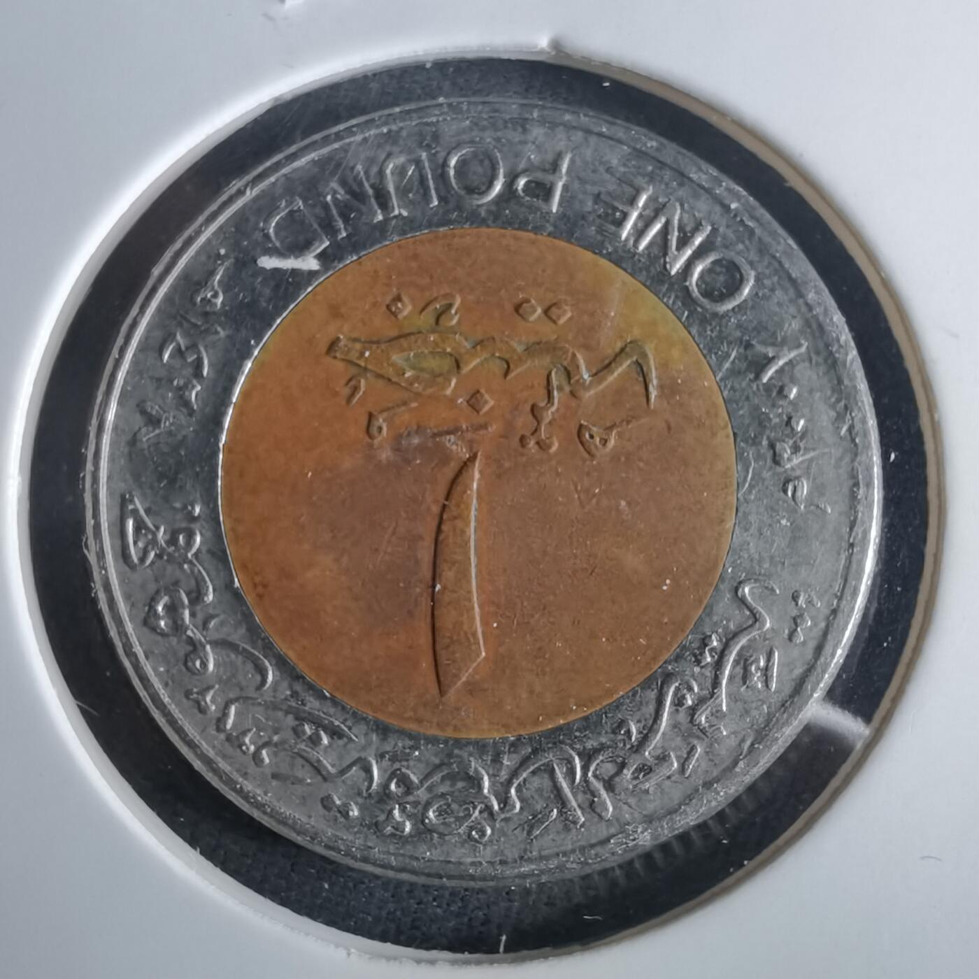 沼泽如烟--第954场 埃及