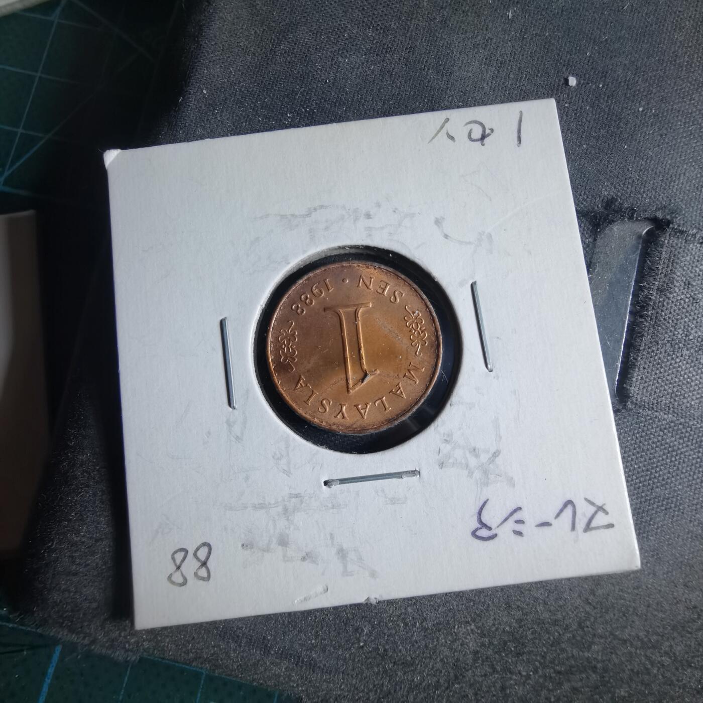 沼泽如烟--第954场